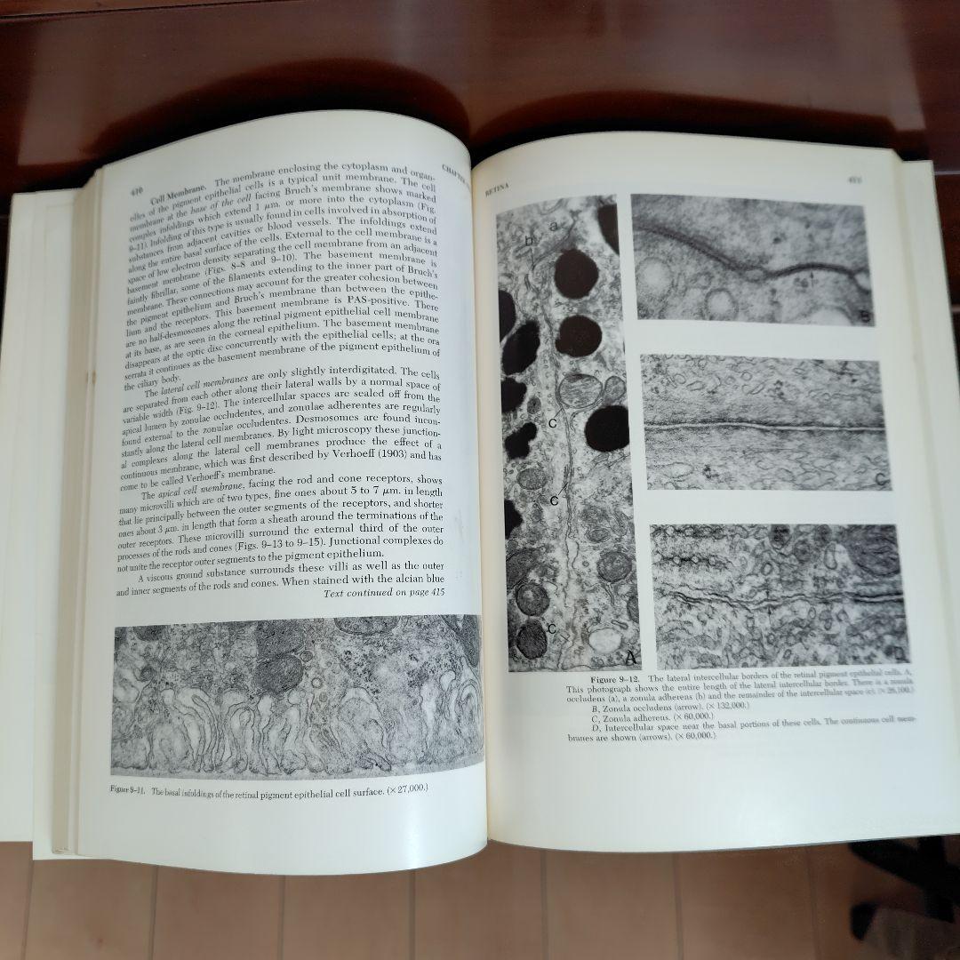 洋書 HISTOLOGY of the HUMAN EYE