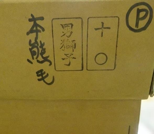 獅子舞　1尺　練り歩き用（お祭り）