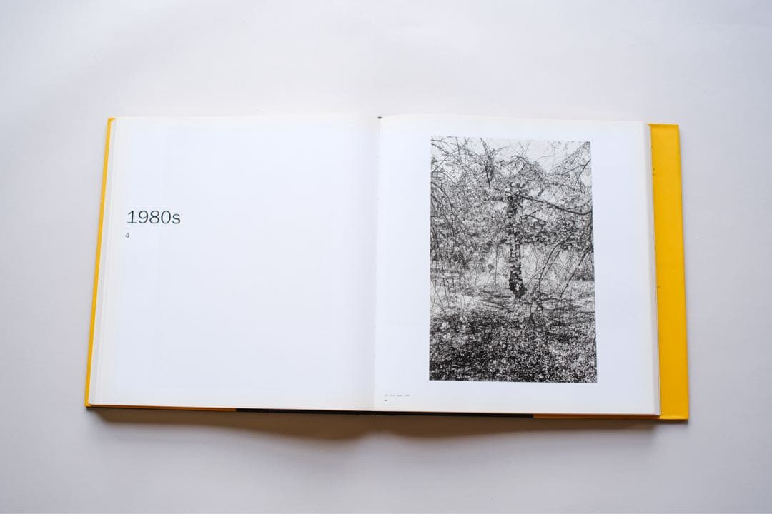 アート・デザイン・音楽 Lee Friedlander The Museum of Modern Art