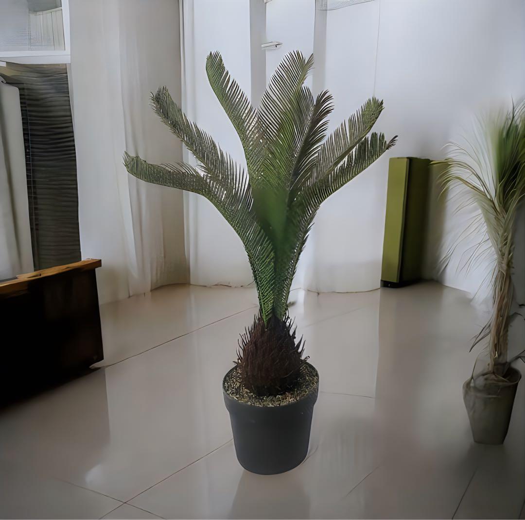 光触媒　人工観葉植物　ウォールグリーン　フェイクグリーン　ソテツ120