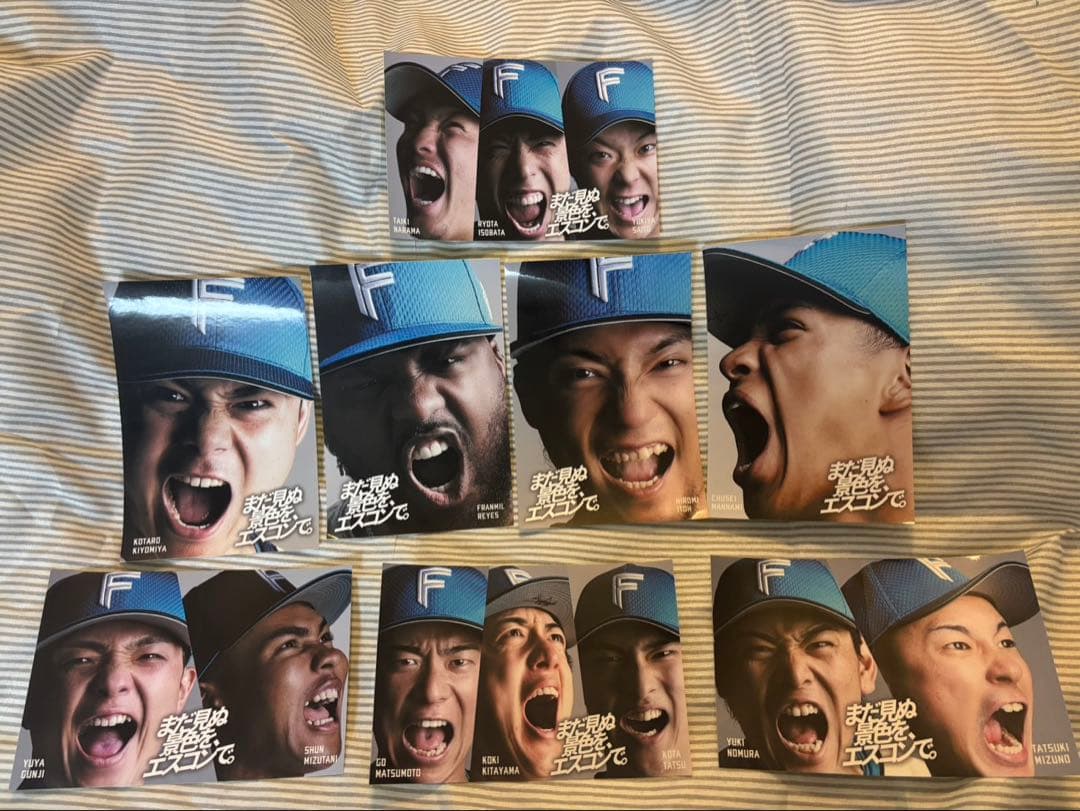 ユウキ商品【非売品】FIGHTERS キャリーケース