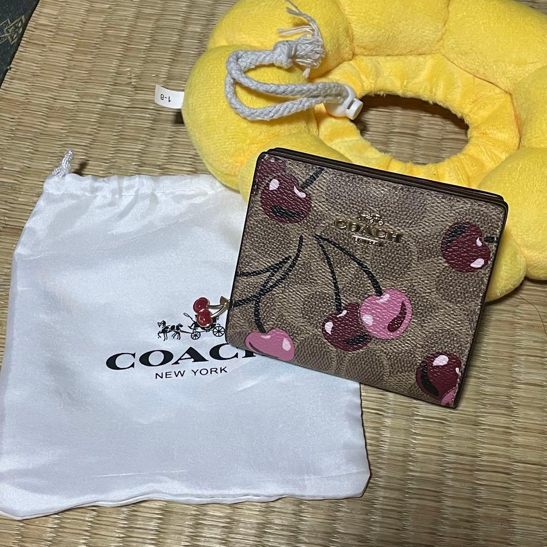 モコモコ。