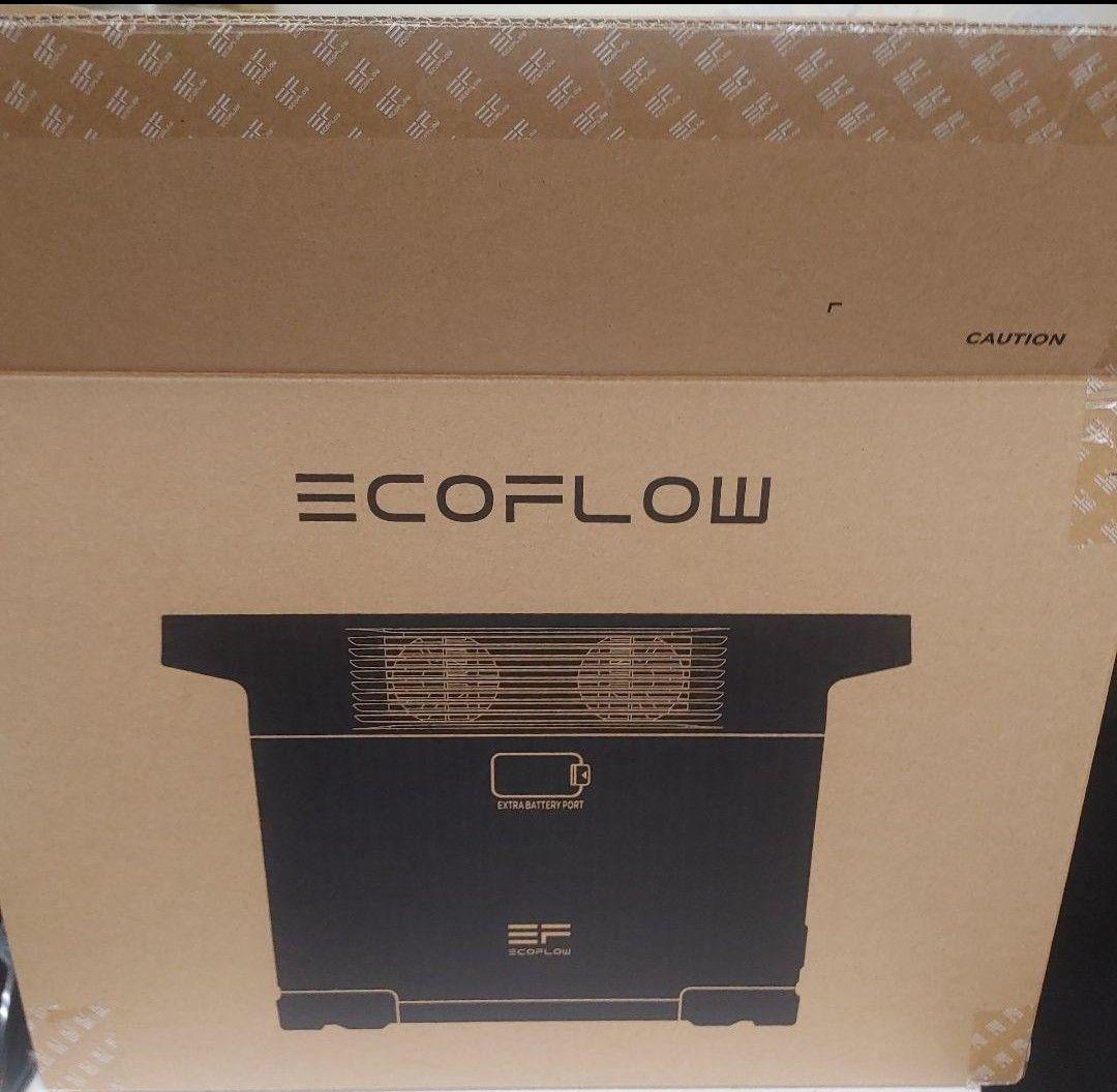 ゆ*ち様 正規整備済品　EcoFlow DELTA 2 ポータブル電源