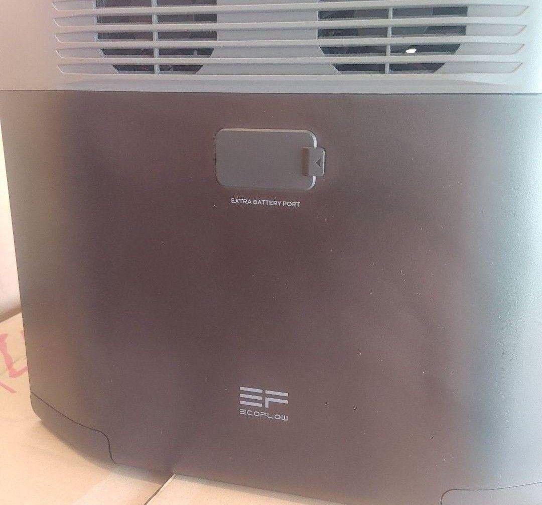 ゆ*ち様 正規整備済品　EcoFlow DELTA 2 ポータブル電源