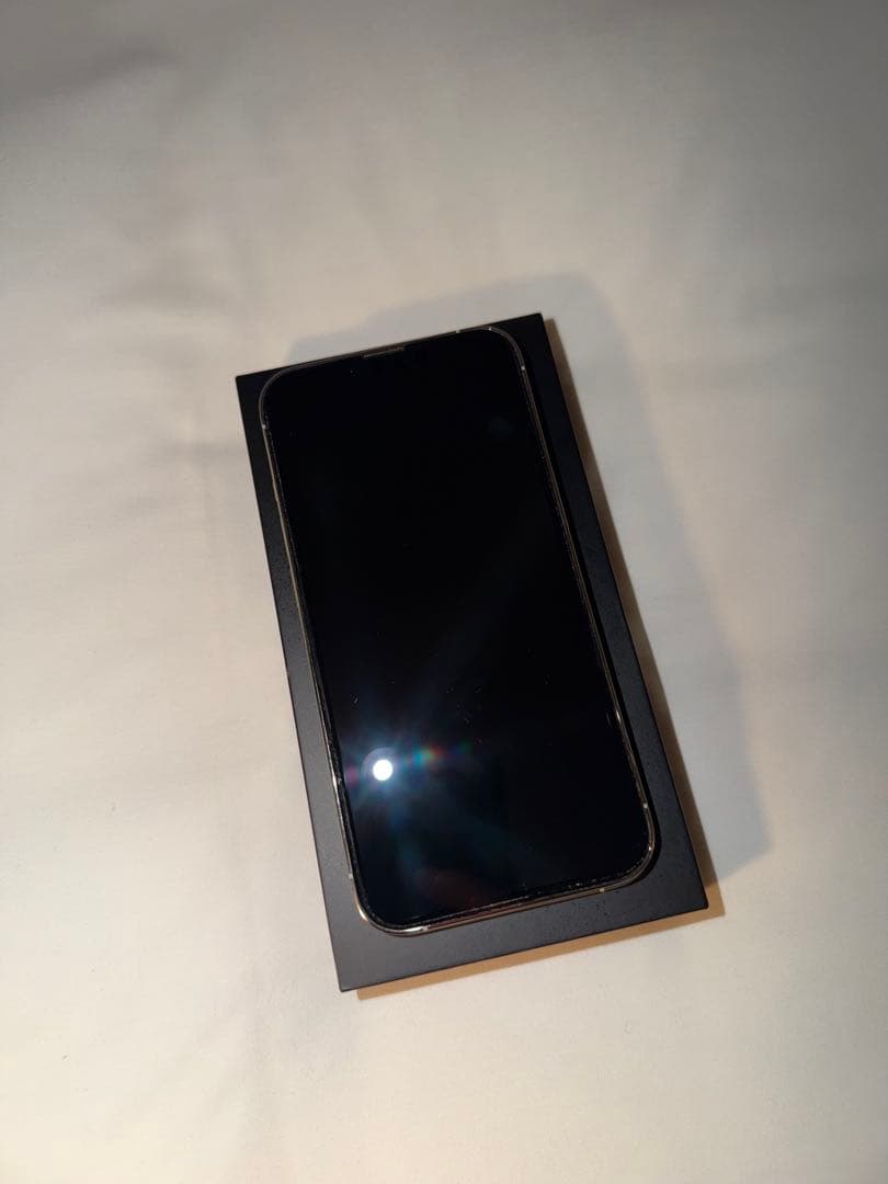 iPhone 13 Pro シルバー 256GB simフリー 消音機能有