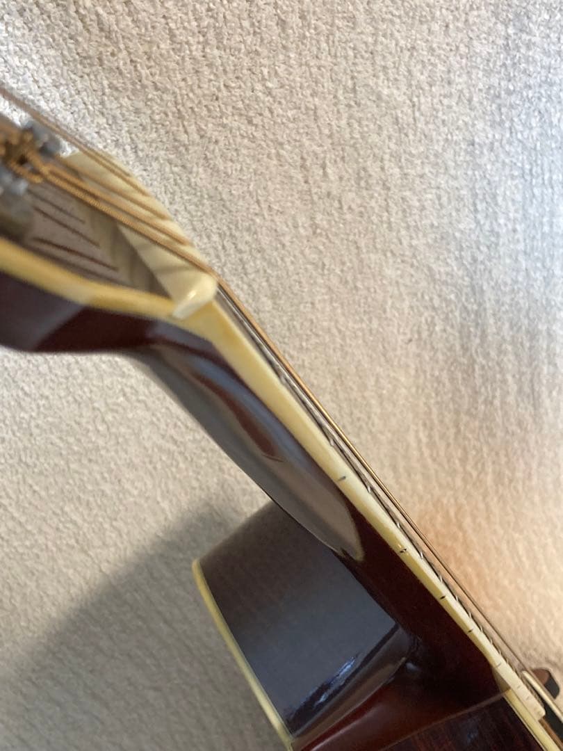 Morris アコースティックギター　W30