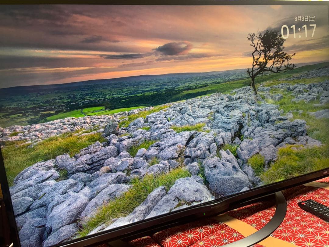 アクオス50型 液晶テレビ Android TV 4T-C50AM1 2018年