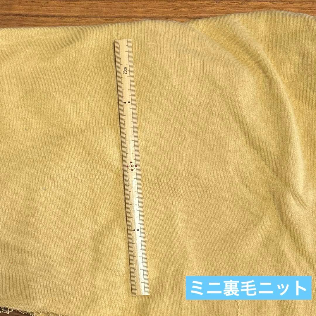 ニット生地