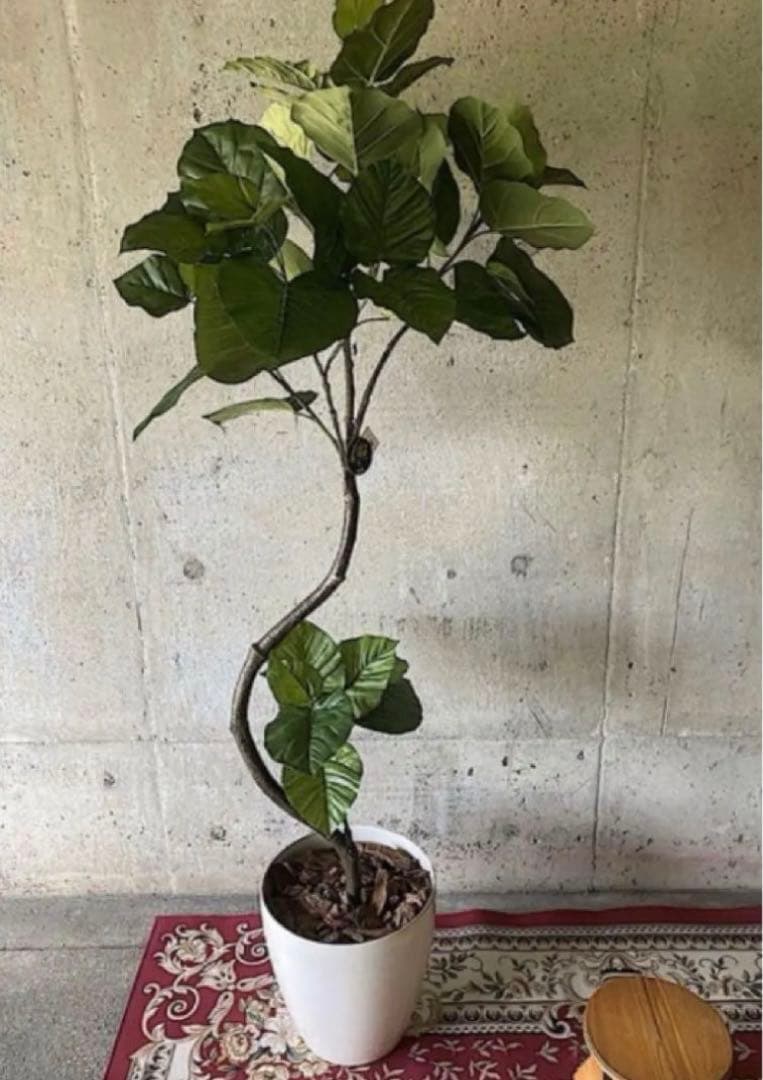 光触媒　人工観葉植物　ウォールグリーン　フェイクグリーン　ウンベラータ166a