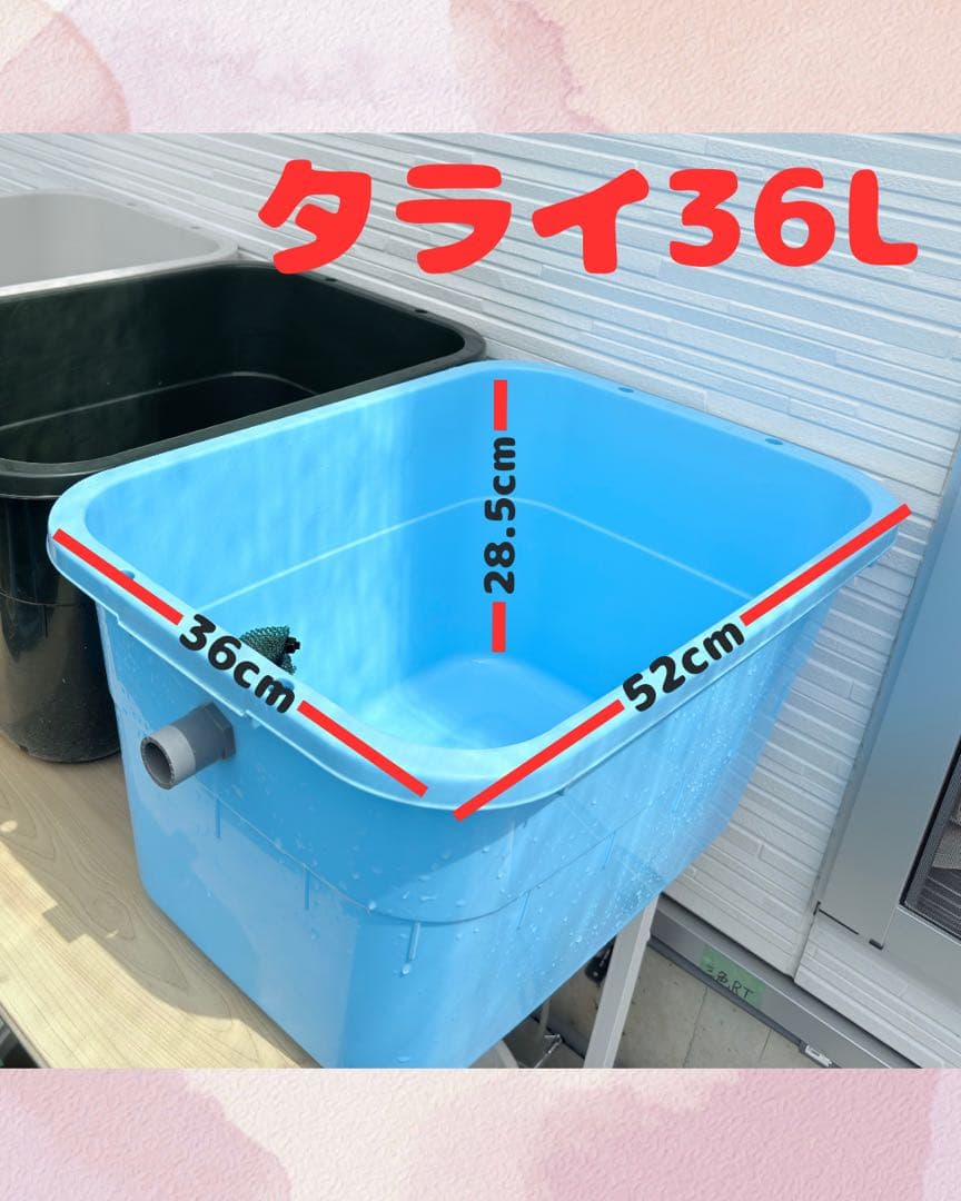 ★お買い得★たらい36L(5個)メダカ飼育容器オーバーフロー トロ舟プラ舟めだか