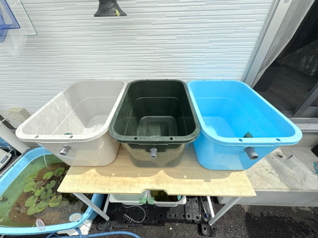 ★お買い得★たらい36L(5個)メダカ飼育容器オーバーフロー トロ舟プラ舟めだか