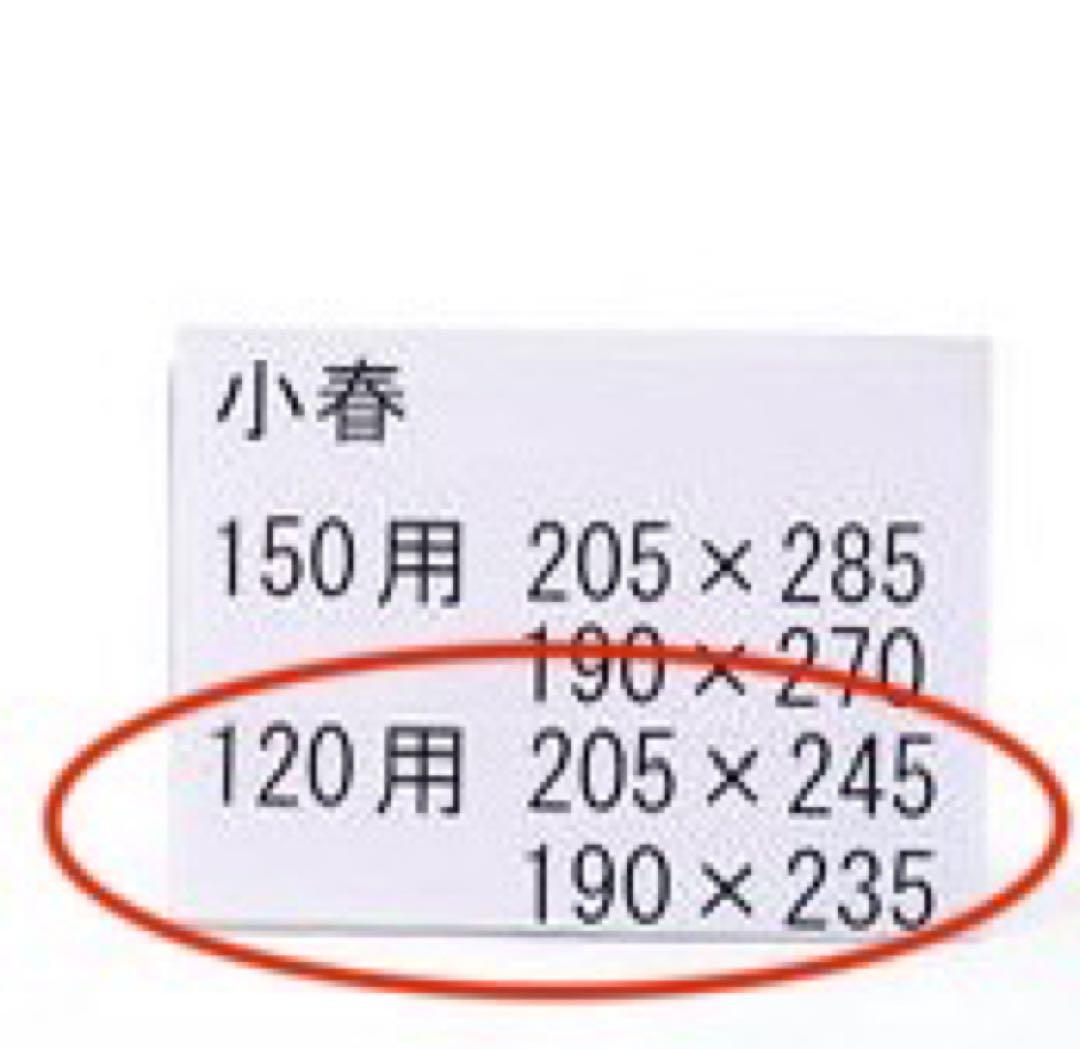 値下げ　厚め　こたつ布団　セット　掛け布団　こたつ敷き布団　2点セット 120