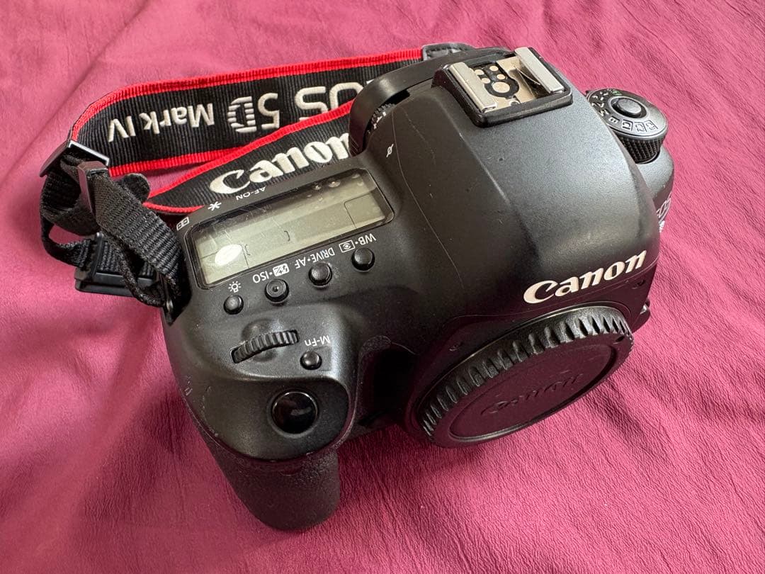 サービスセンターにて点検済　Canon EOS 5D mark 4 付属品完備