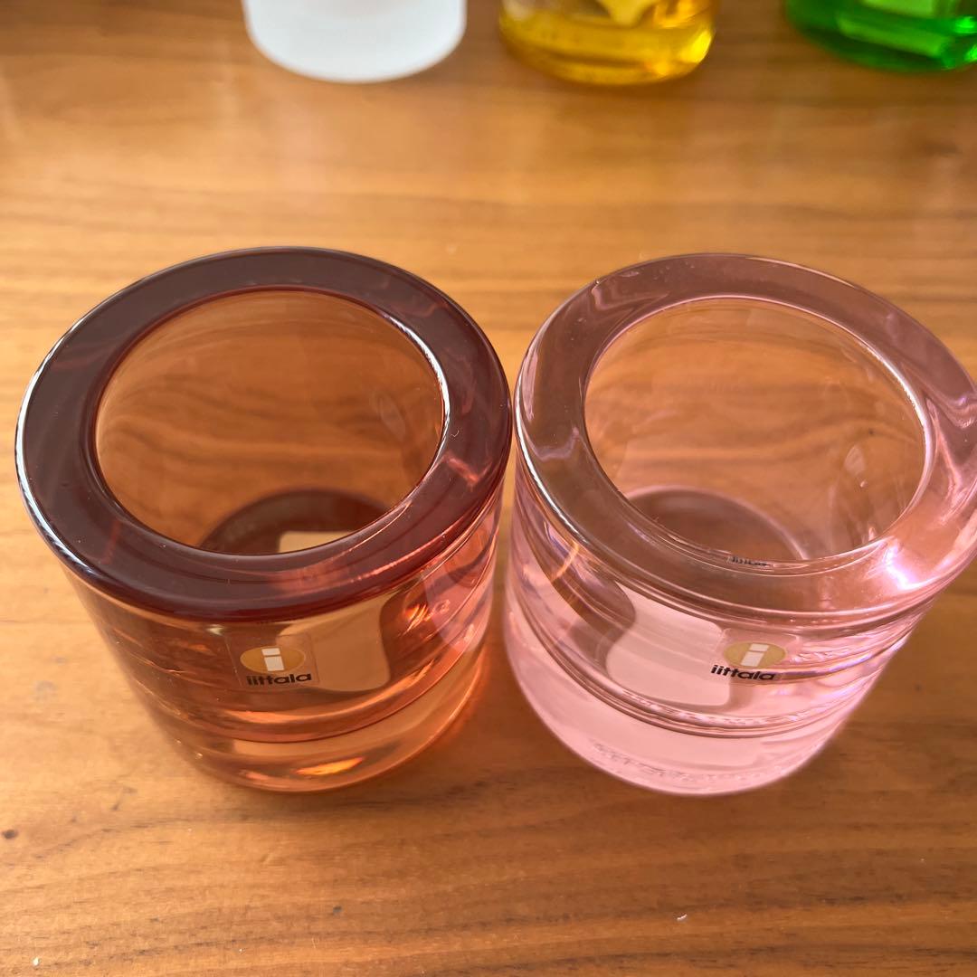  Kivi 8個セット