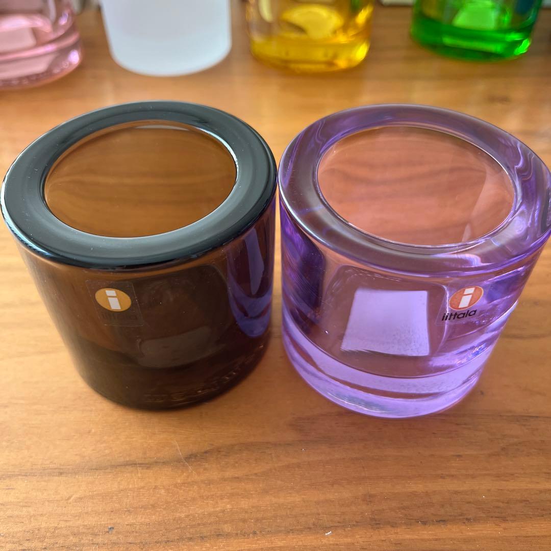  Kivi 8個セット