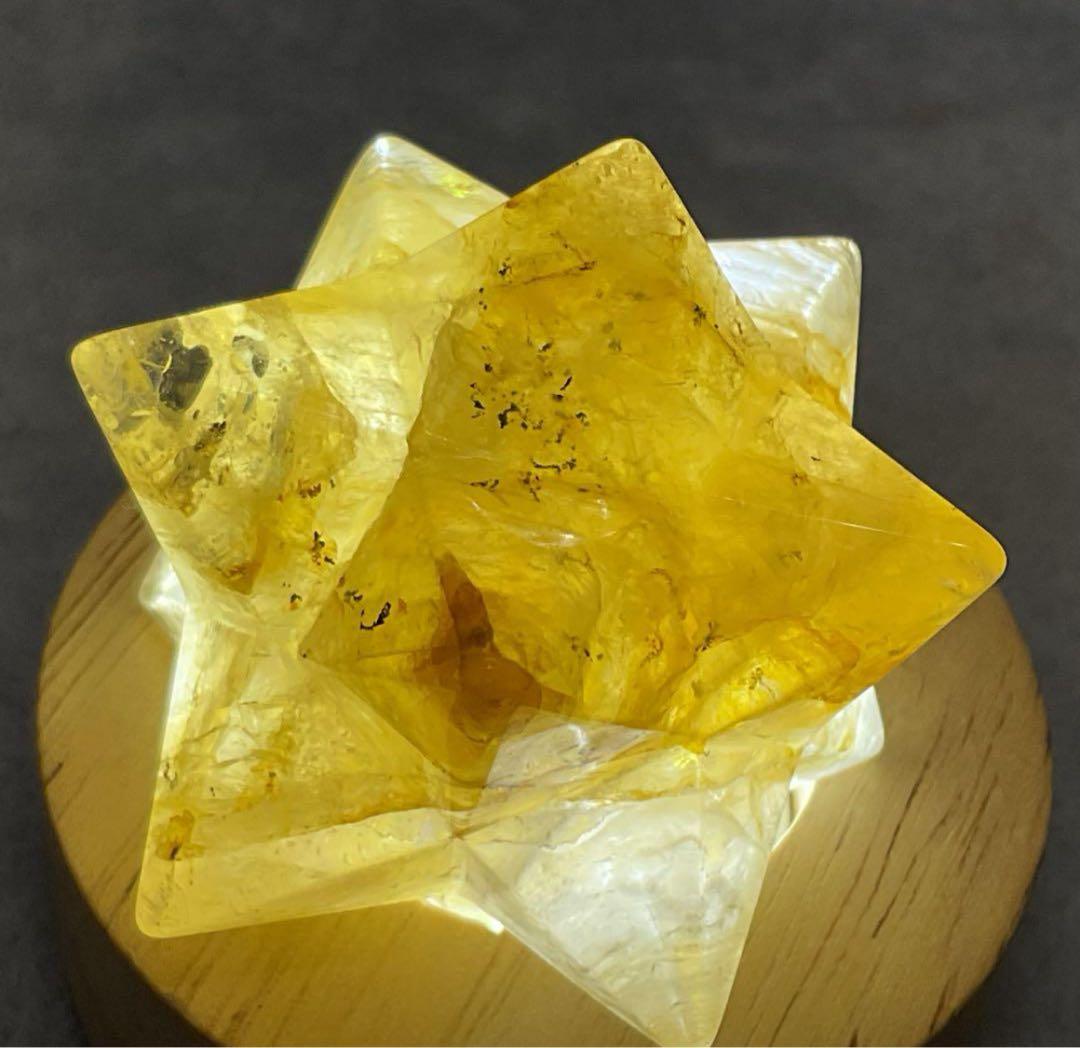 T943-2レア★マルカバスターマカバデンドリックアイリスゴールデンヒーラー虹入