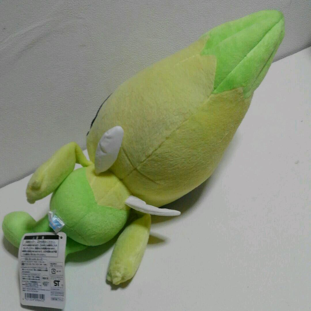 専用　確認用2