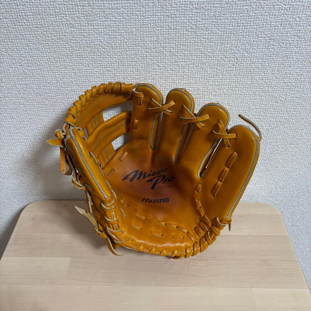 のぞみ168号　ミズノプログローブ