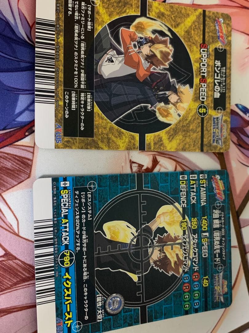 家庭教師ヒットマンREBORN！サザンクロスバトル　沢田綱吉　ボンゴレの血