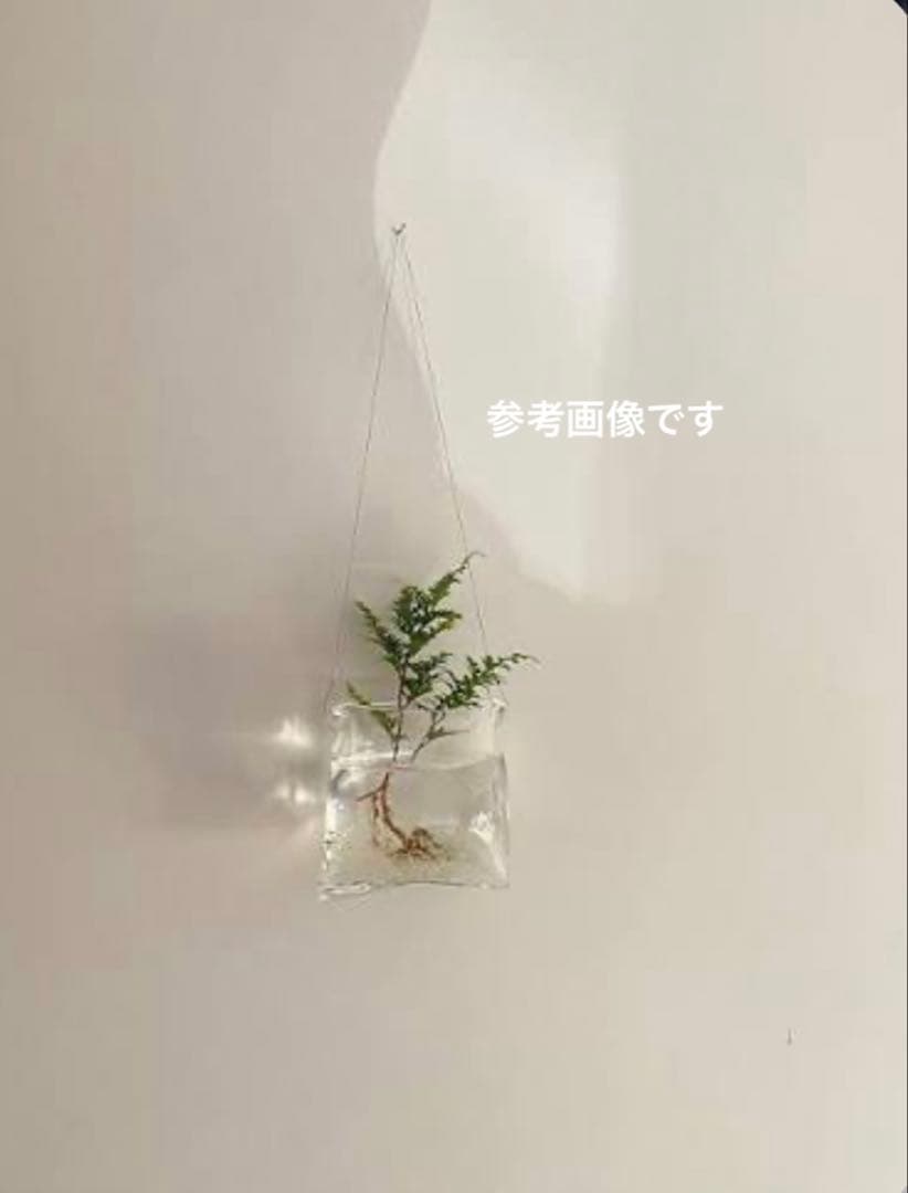 大家具子　ガラスベース　花器　square borsa Sサイズ