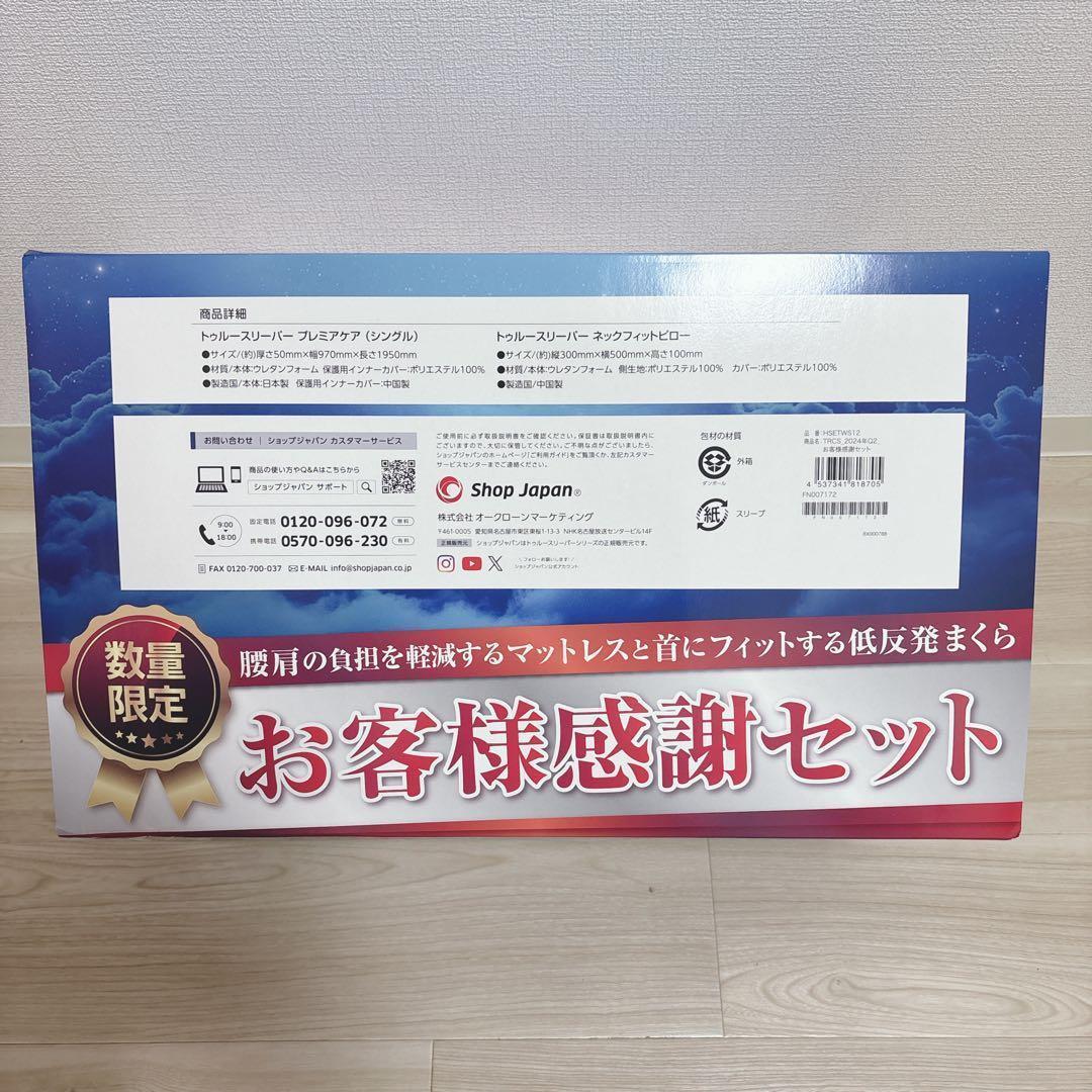 月末特価！トゥルースリーパー 低反発マットレス ネックフィットピローセット