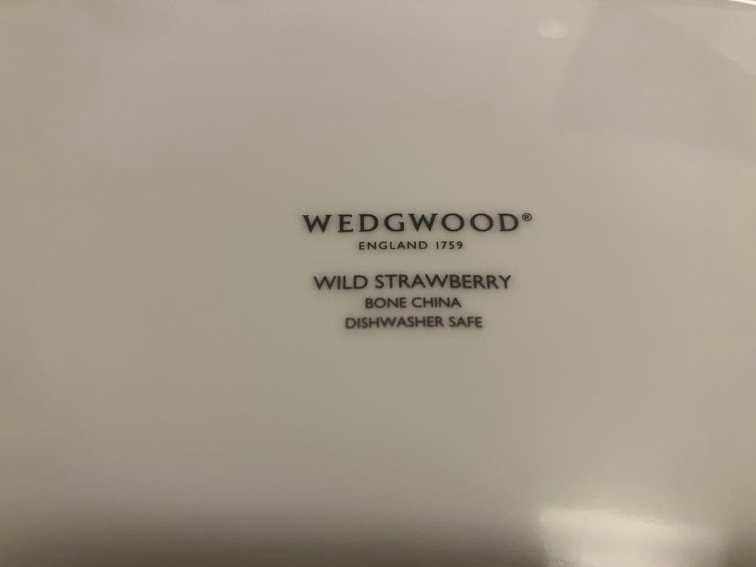  Wild Strawberry インクブルー オーバルプレート