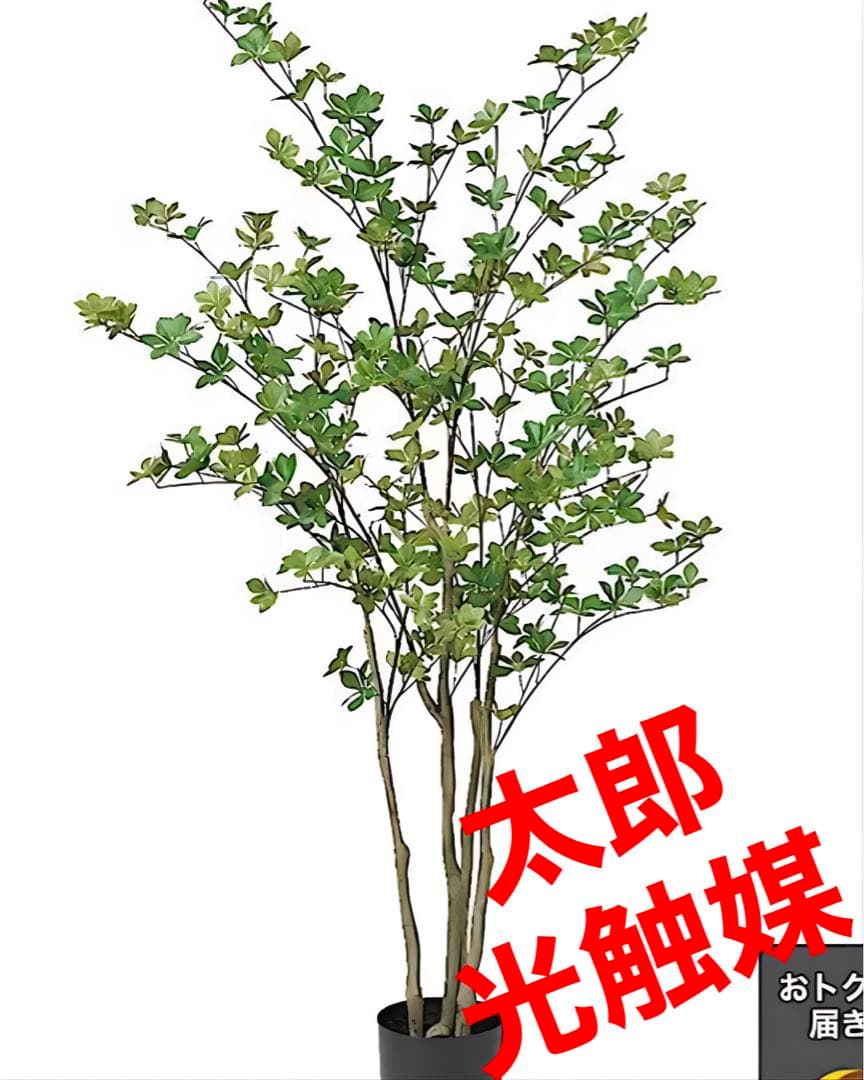 光触媒　人工観葉植物　ウォールグリーン　フェイクグリーン　Ａドウダン155