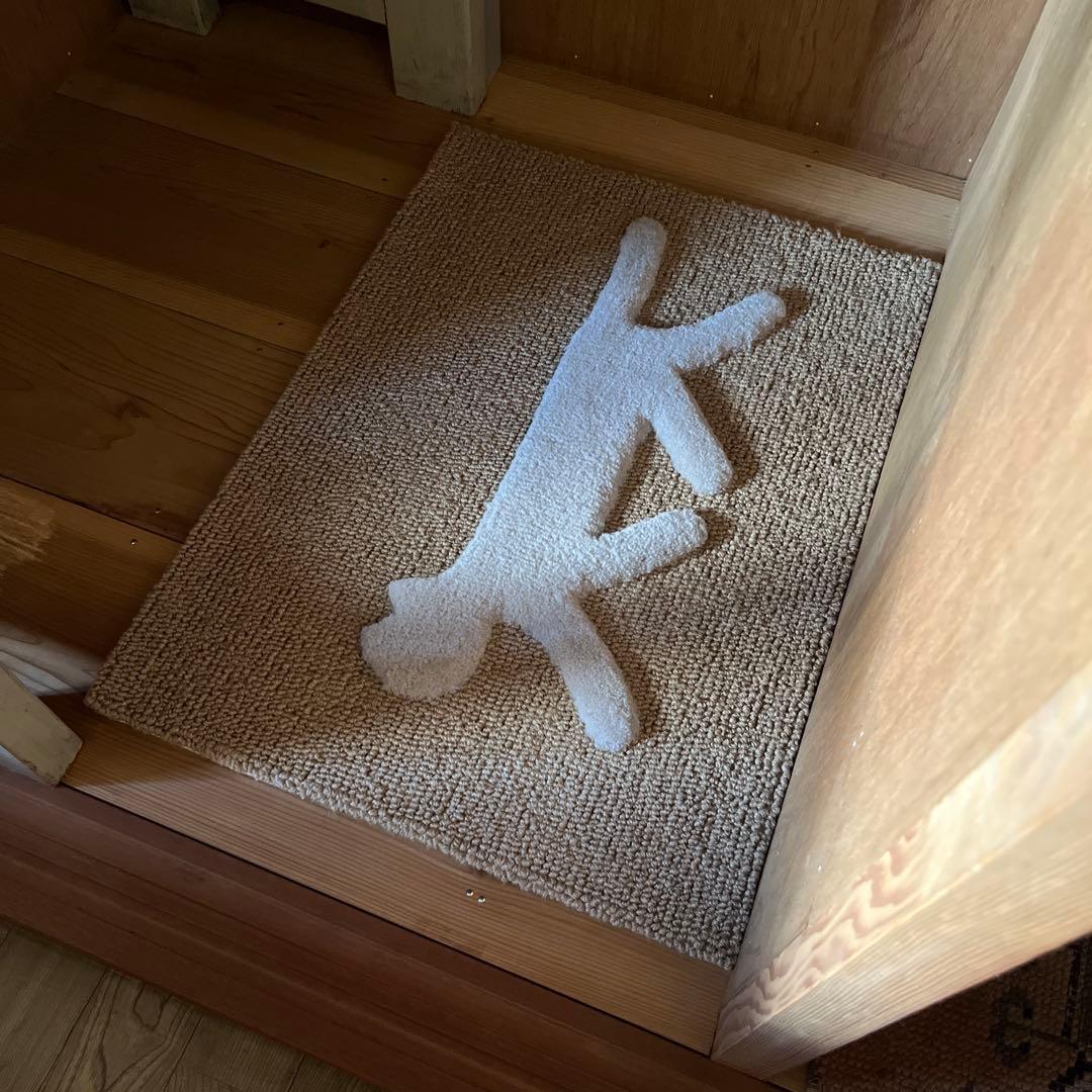 momoさま専用