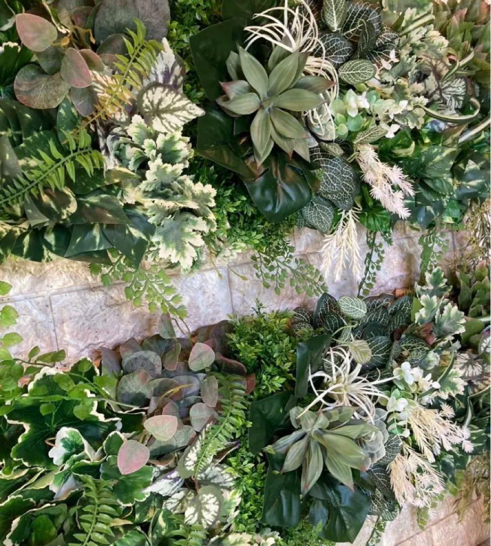 光触媒　人工観葉植物　ウォールグリーン　フェイクグリーン　壁掛け70208443
