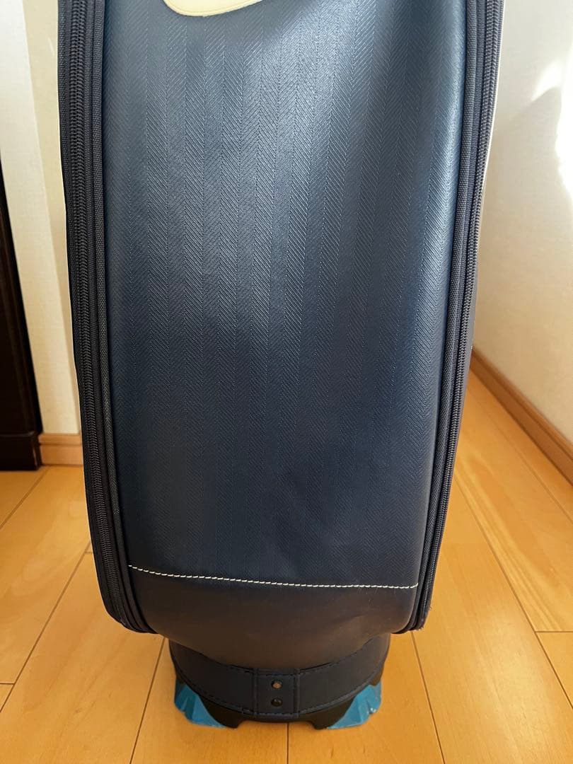 専用　完売品　希少カラー　NIKE ナイキゴルフ　レトロ　カートキャディバッグ