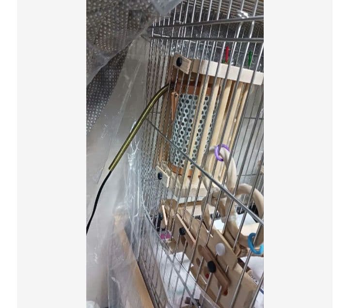 h2　あったかステージ　四角い止まり木　ヒーターいたずら防止　インコ　小動物