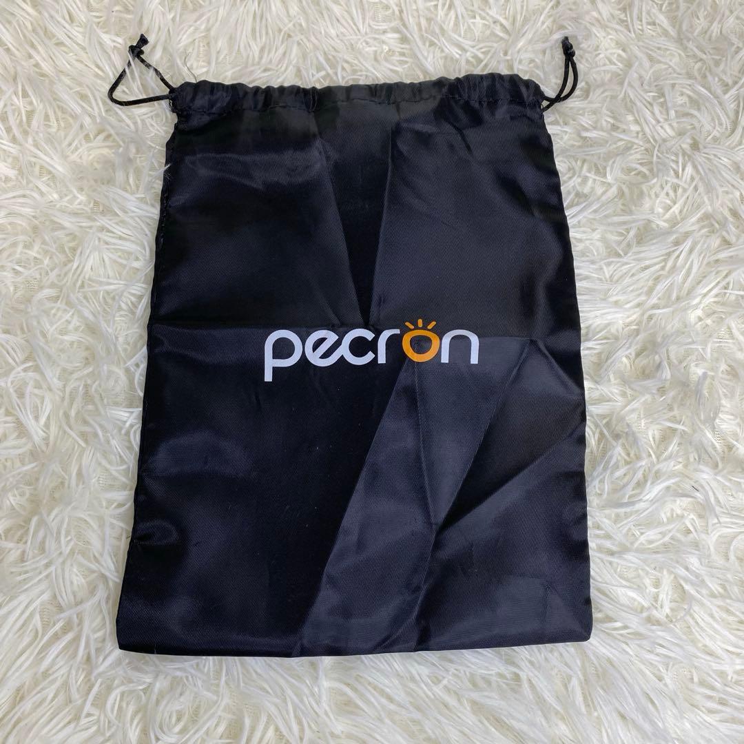 【美品／動作良好】PECRON ポータブル電源 E600LFP ソーラーパネル付