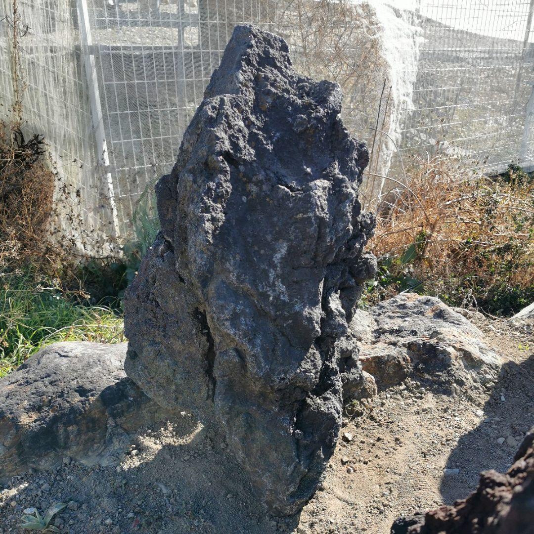 富士　溶岩石　160キロ　庭石　鑑賞石　石　庭　坪庭　ガーデニング　置物