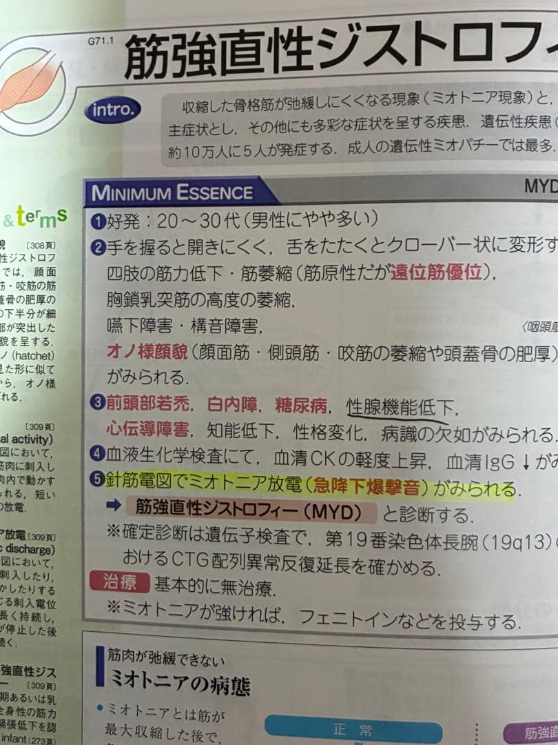 病気がみえる 13巻セット