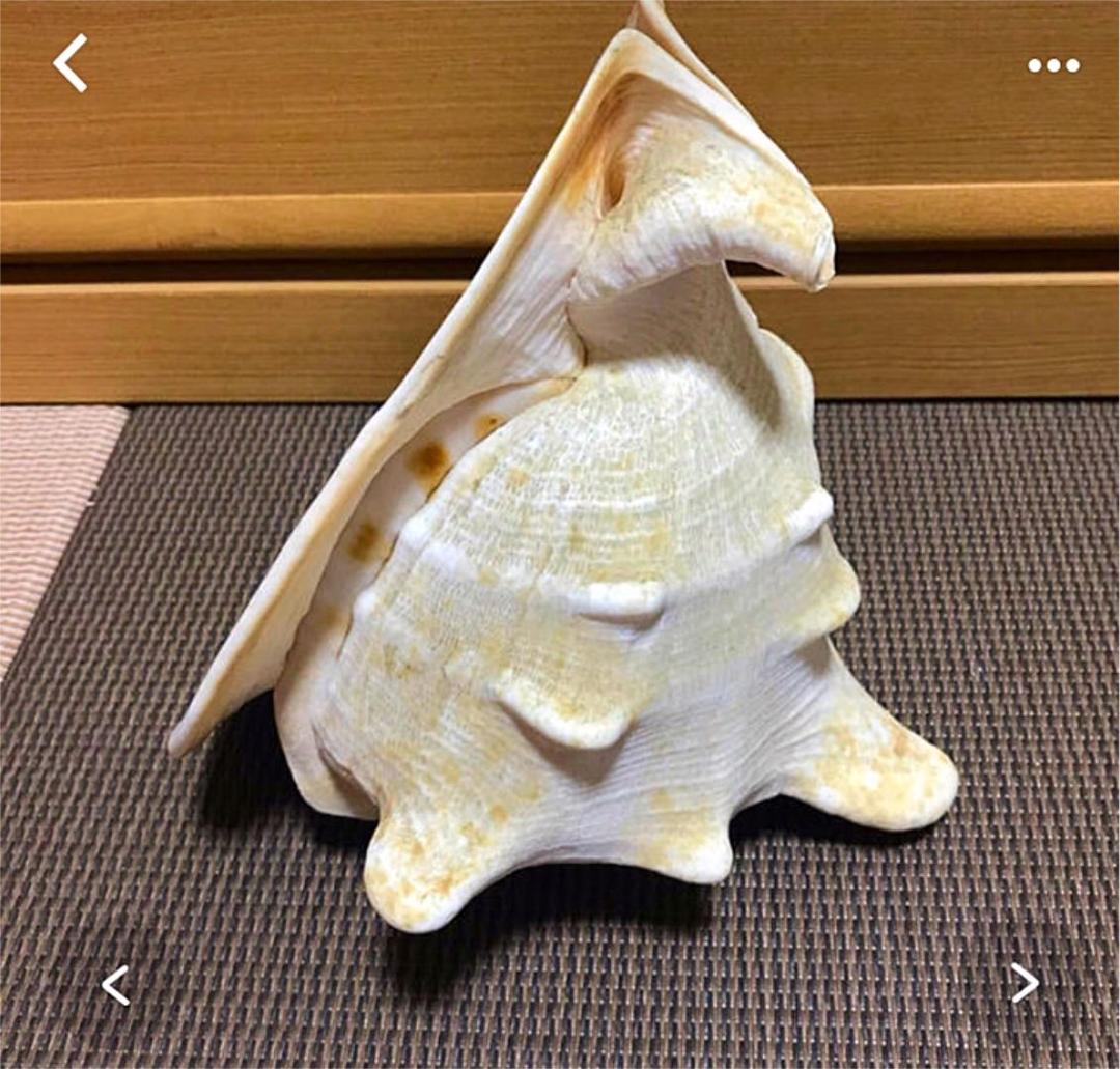 貝