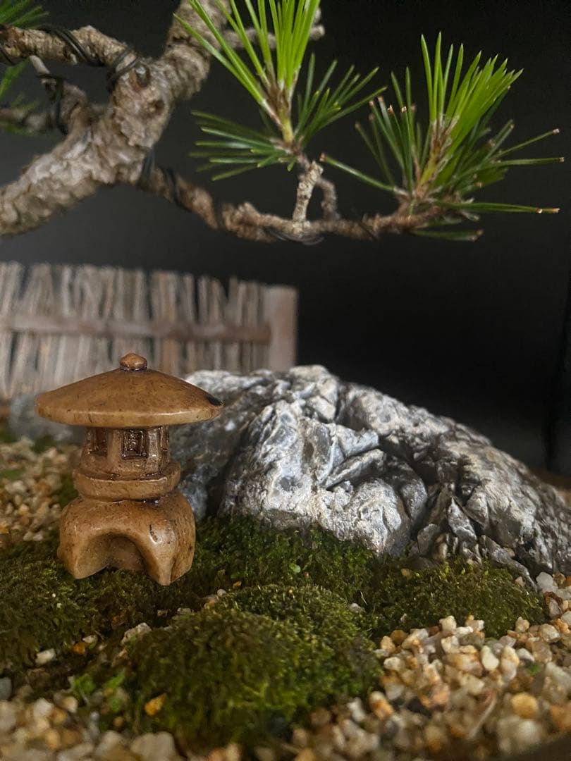 黒松の盆栽で作る和風庭園