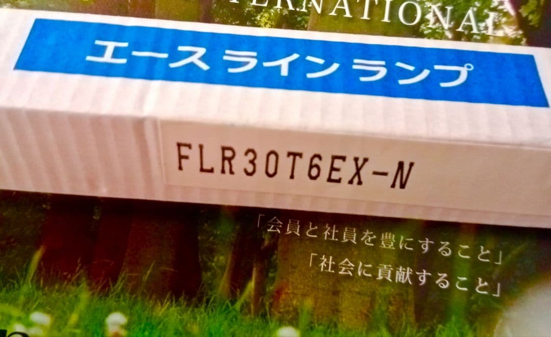 [特売5本入] DNライティング FLR30T6EX-N スリム管 3波長形