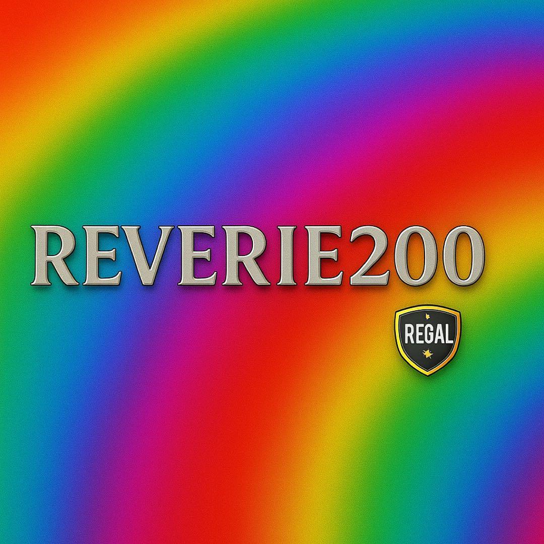 激安感謝セール！！REVERIE 200μ １０枚【容量アップしました‼️】
