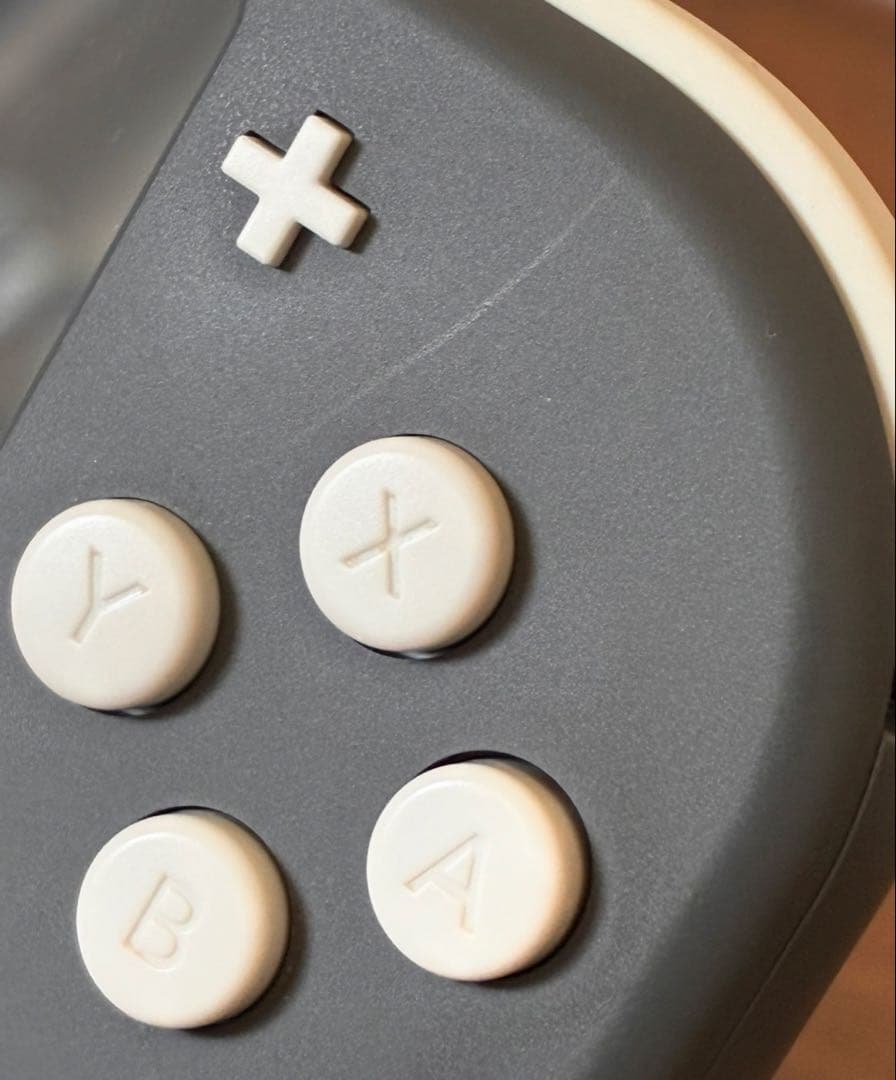 Nintendo Switch Lite グレー（microSD・ケース付）