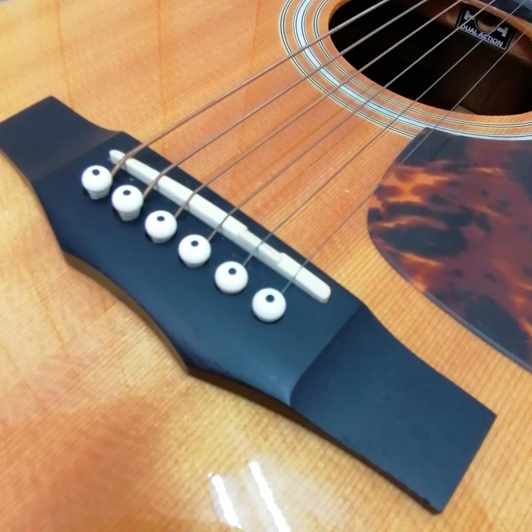 Morris　M-351 NAT　セミハードケース付　アコースティックギター