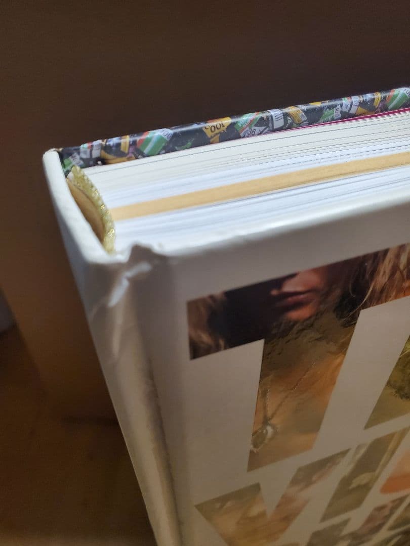 アート・デザイン・音楽 THE VICE PHOTO BOOK