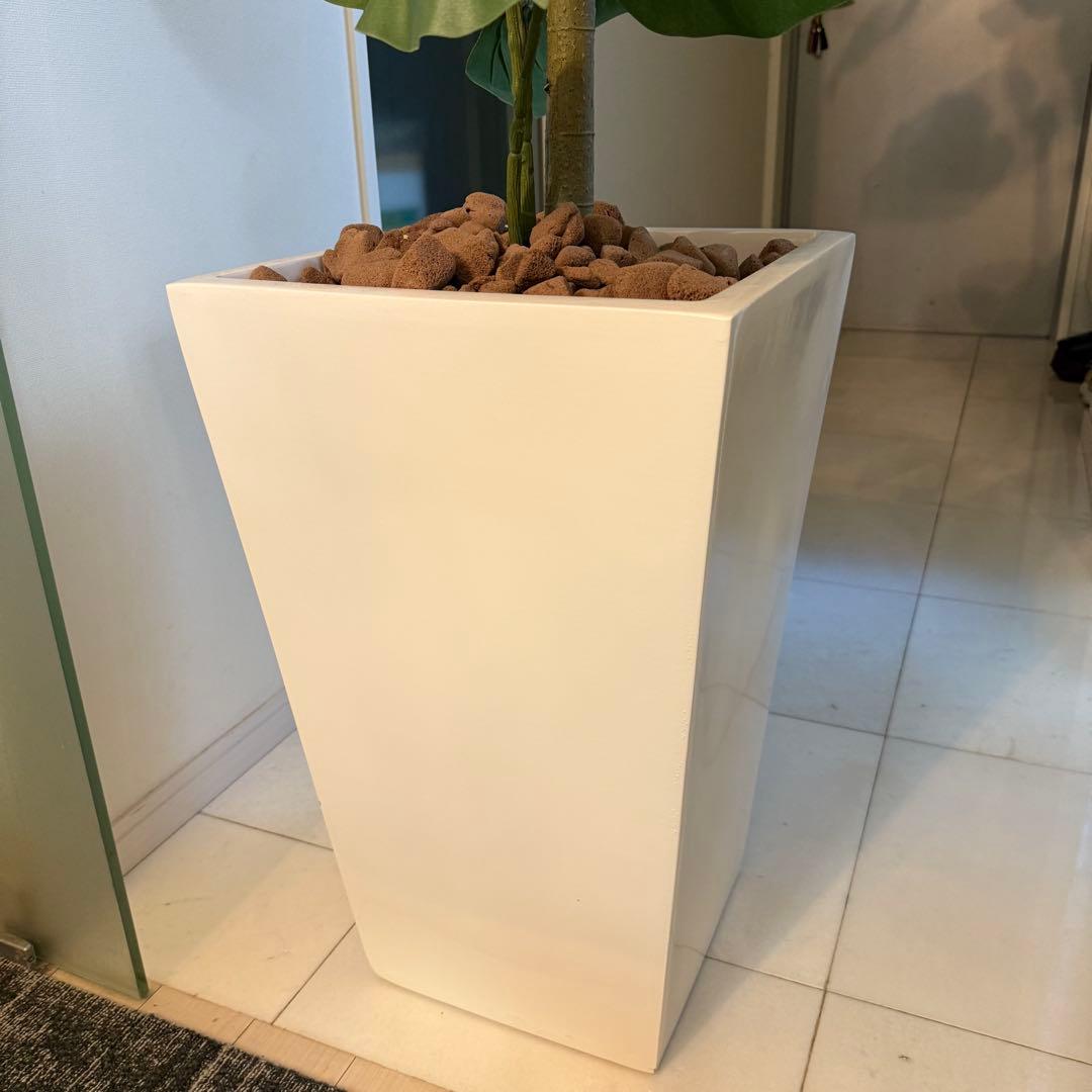 ウンベラータ　人工観葉植物 ホワイトポット