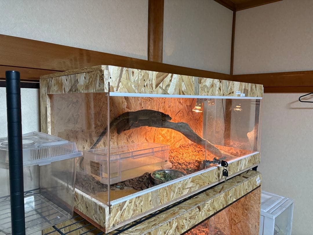 爬虫類ケージ　90×40×40 サイドアクリル　爬虫類　ペット　飼育　ケージ