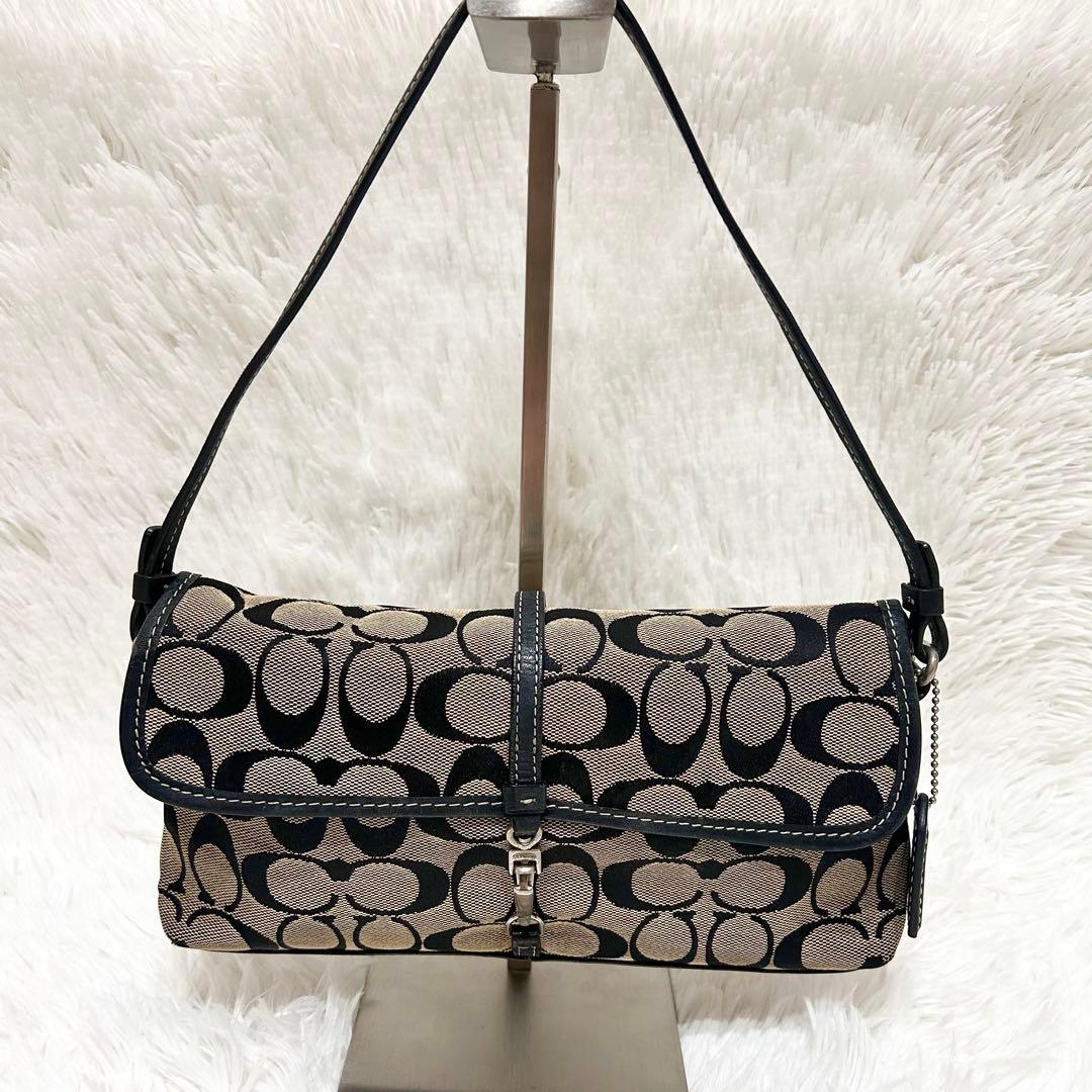 保存袋付属✨COACH アクセサリーポーチ ワンショルダー レザー シグネチャー