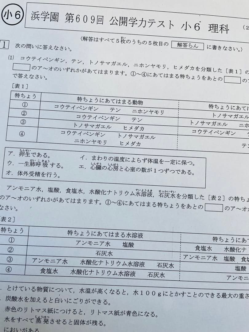 3年分 4科目 2022年〜2024年度 浜学園 公開学力テスト 小6
