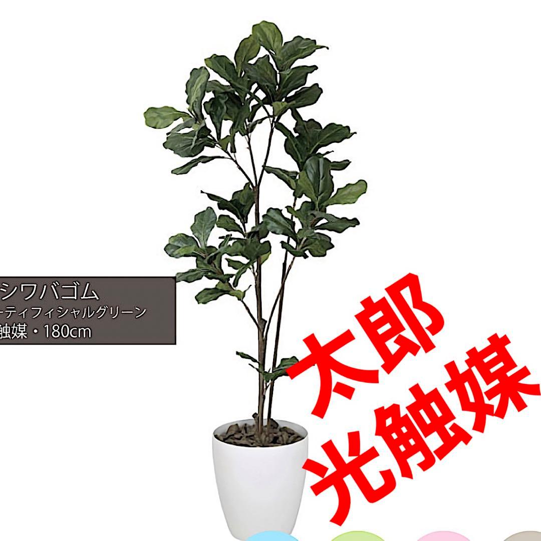 光触媒　人工観葉植物　ウォールグリーン　フェイクグリーン　カシワバゴム180