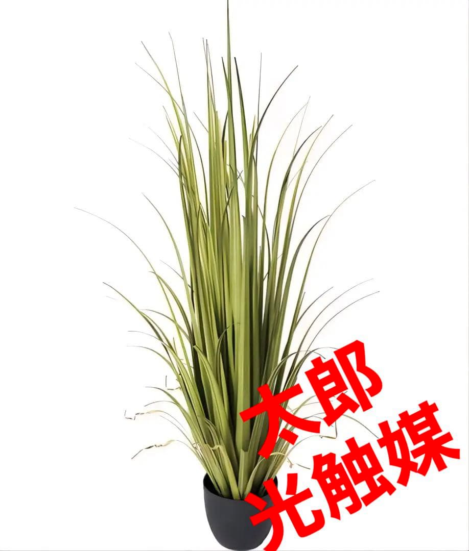 光触媒　人工観葉植物　ウォールグリーン　フェイクグリーン　バラルグラス14071