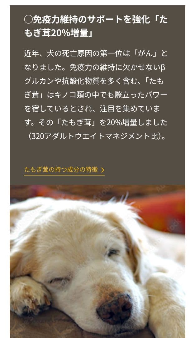 ボディバランス エイジングサポート ドッグフード【10kg／新品未開封】