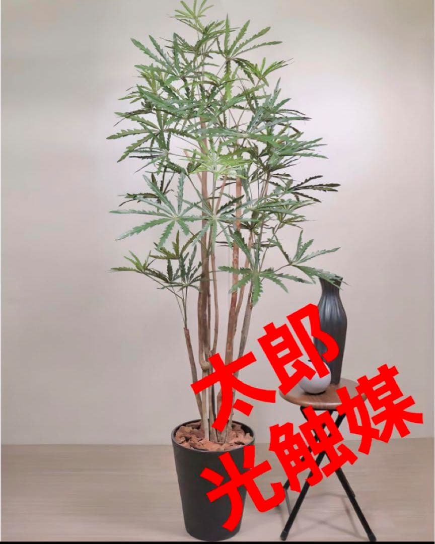 光触媒　人工観葉植物　ウォールグリーン　フェイクグリーン　アラレアgtj