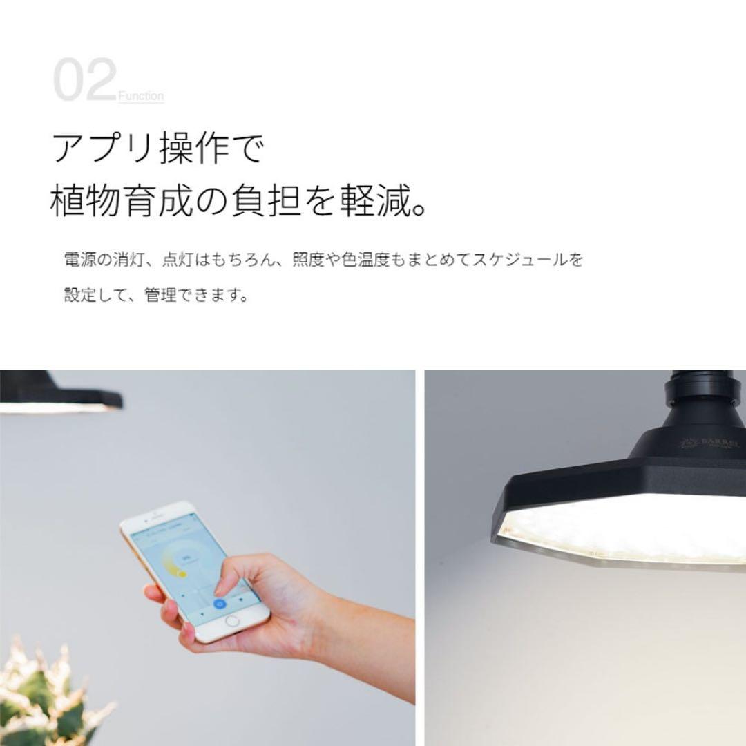 ROKI-OCTAGON-50W ロキ　オクタゴン　ブラック